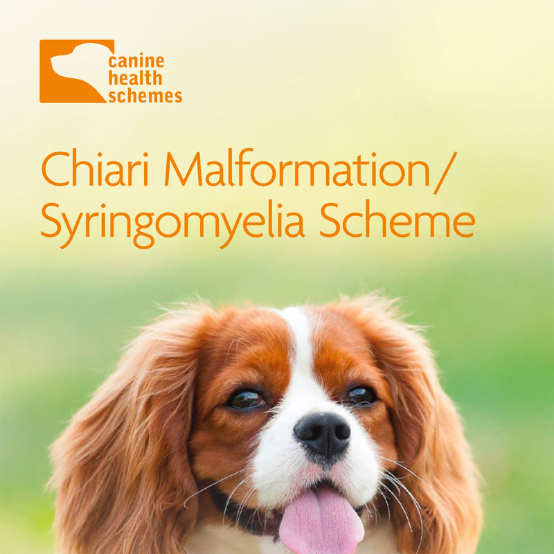 Chiari Malformation/Syringomyelia Scheme Leaflet