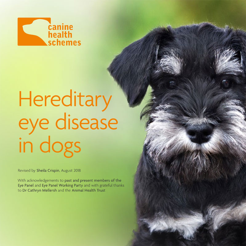 Canine Eye Scheme